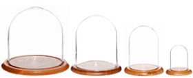 Glass Domes with Oak Bases
