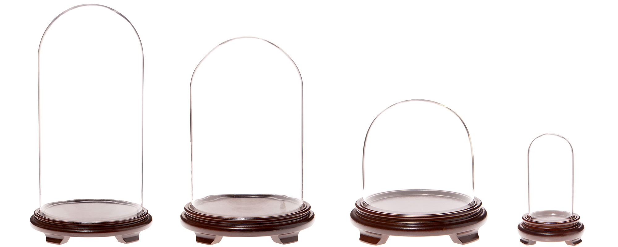 Glass Domes with Walnut Wood Veneer Footed Bases
