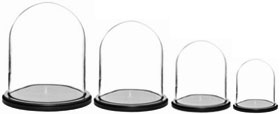 Glass Domes with Black Wood Bases
