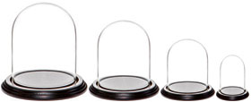 Glass Domes with Black Wood Veneer Bases