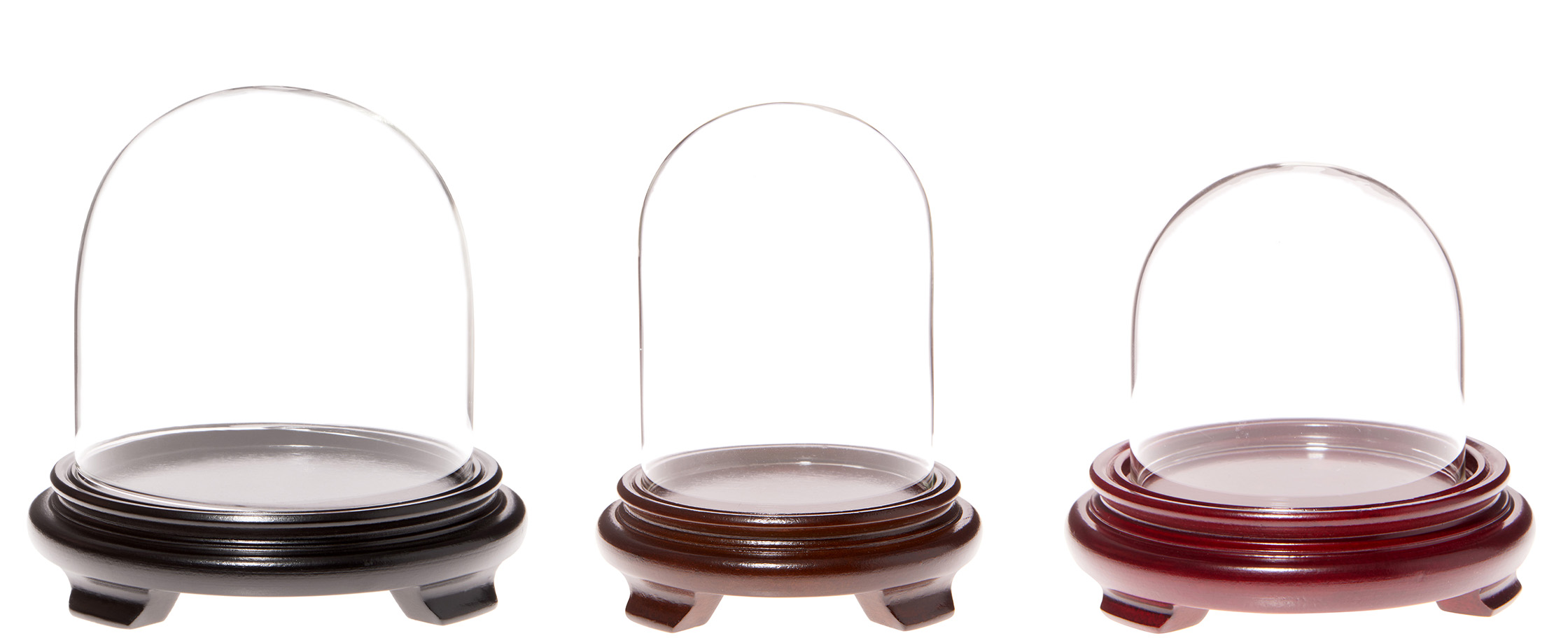 Glass Domes with Wood Veneer Footed Bases