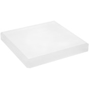 Plymor Frosted Acrylic Square Beveled Display Base, 8" W x 8" D x 1" H