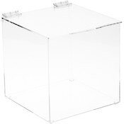 Plymor Clear Acrylic Display Case Box With Hinged Lid, 8" x 8" x 8"