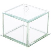 Bard's Clear Beveled Glass Display Box for Jewelry or Keepsakes, 5" W x 5" D x 4.75" H