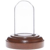 Glass Dome with Walnut Veneer Base - 1" x 2"
