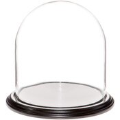 Glass Dome with Black Wood Veneer Base - 9.75" x 10"