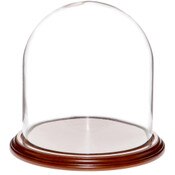 Glass Dome with Walnut Veneer Base - 9.75" x 10"