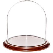 Glass Dome with Walnut Veneer Base - 9.75" x 10"