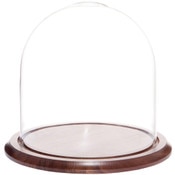 Glass Dome with Walnut Base - 9.75" x 10"