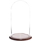 Glass Dome with Walnut Base - 9.75" x 20"