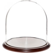 Glass Dome with Dark Mahogany Veneer Base - 11.75" x 12"