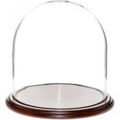 Glass Dome with Dark Mahogany Veneer Base - 11.75" x 12"