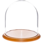 Glass Dome with Oak Veneer Base - 11.75" x 12"
