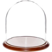 Glass Dome with Walnut Veneer Base - 11.75" x 12"