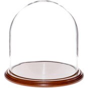 Glass Dome with Walnut Veneer Base - 11.75" x 12"