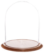 Glass Dome with Oak Base - 11.75" x 15"