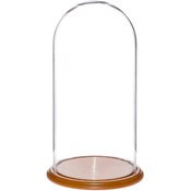 Glass Dome with Oak Veneer Base - 11.75" x 23"