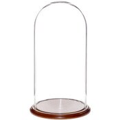 Glass Dome with Walnut Veneer Base - 11.75" x 23"