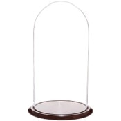 Glass Dome with Walnut Base - 11.75" x 23"