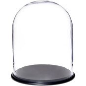 Glass Dome with Black MDF Wood Base - 13" x 16"