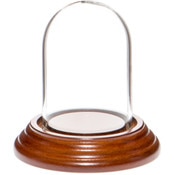 Glass Dome with Walnut Veneer Base - 1.85" x 2.875"