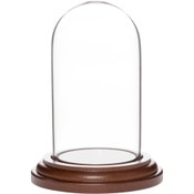 Plymor 1.85 inch x 3.5 inch Mini Glass Display Dome Cloche (Dark Wood Base)