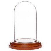 Glass Dome with Walnut MDF Base - 1.85" x 3.5"