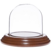 Glass Dome with Walnut Veneer Base - 2.5" x 2.5"