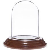 Glass Dome with Walnut Veneer Base - 2" x 3"