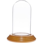 Glass Dome with Oak Veneer Base - 2" x 4"