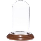 Glass Dome with Walnut Veneer Base - 2" x 4"