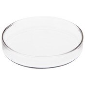 Plymor 3" x 3" Round Glass Display Tray
