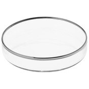 Plymor 3" x 3" Round Glass Display Tray (Silver Rim)