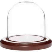 Plymor 3 inch x 3 inch Glass Display Dome Cloche (Dark Wood Base)