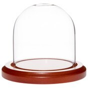 Plymor 3" x 3" Glass Display Dome Cloche (Walnut Base)