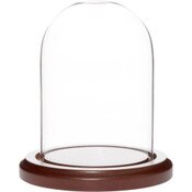 Plymor 3 inch x 4 inch Glass Display Dome Cloche (Dark Wood Base)