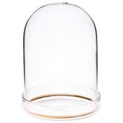 Plymor 3" x 4" Glass Display Dome Cloche with Gold Rim (Clear Glass Tray Base)