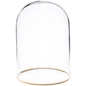 Plymor 3" x 4" Glass Display Dome Cloche with Gold Rim (no Base)
