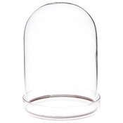 Plymor 3" x 4" Glass Display Dome Cloche with Silver Rim (Clear Glass Tray Base)