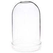 Plymor 3" x 5" Glass Display Dome Cloche (Clear Glass Tray Base)