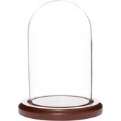 Plymor 3 inch x 5 inch Glass Display Dome Cloche (Dark Wood Base)