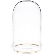 Plymor 3" x 5" Glass Display Dome Cloche with Gold Rim (Clear Glass Tray Base)