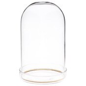 Plymor 3" x 5" Glass Display Dome Cloche with Gold Rim (Clear Glass Tray Base)