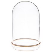 Plymor 3" x 5" Glass Display Dome Cloche (Gold Rim Glass Tray Base)