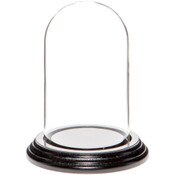Glass Dome with Black Wood Veneer Base - 3" x 5"
