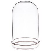 Plymor 3" x 5" Glass Display Dome Cloche with Silver Rim (Silver Rim Glass Tray Base)