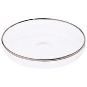 Plymor 4" x 4" Round Glass Display Tray (Silver Rim)