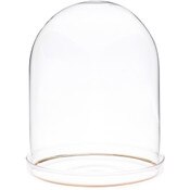 Plymor 4.5" x 6" Glass Display Dome Cloche with Gold Rim (Clear Glass Tray Base)