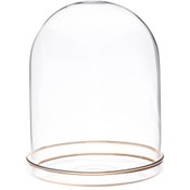 Plymor 4.5" x 6" Glass Display Dome Cloche with Gold Rim (Gold Rim Glass Tray Base)