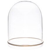 Plymor 4.5" x 6" Glass Display Dome Cloche (Gold Rim Glass Tray Base)
